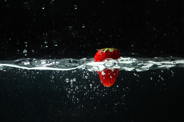 Konzept der frischen Sommerfrüchte Früchte im Wasser