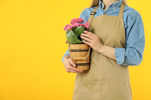 Konzept der Gartenfrau mit Blumen auf gelbem Hintergrund