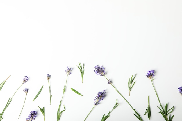 Konzept der Gemütlichkeit mit Blumen Lavendelblüten Platz für Text