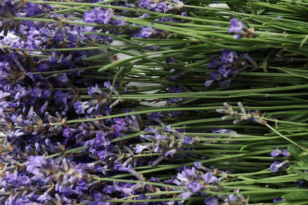 Konzept der Gemütlichkeit mit Blumen schöne Lavendelblüten