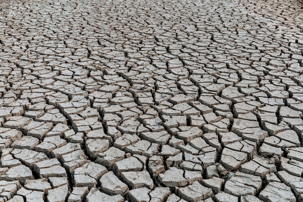 Konzept der globalen Erwärmung Trockene Risse im Land ernste Wasserknappheit