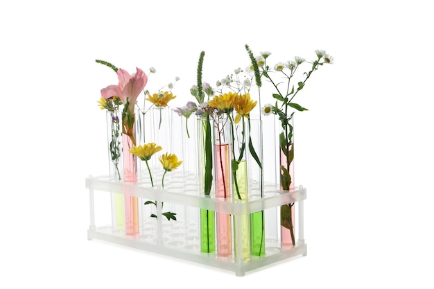Konzept der Reagenzgläser und Blumen der Biologieforschung isoliert auf weißem Hintergrund