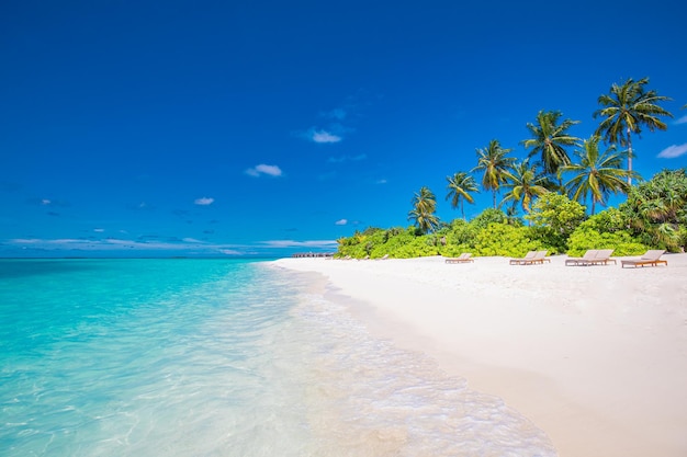 Konzept der Strandnatur. Palm Beach Lagune sonniger Himmel tropische idyllische Paradiesinsel. Exotische Landschaft