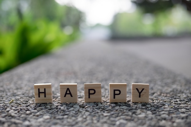 Konzept des glücklichen - hölzernen glücklichen Alphabet
