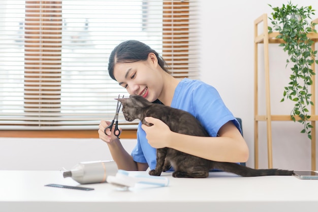 Konzept des Haustiersalons Tierärztin, die mit einer Schere das Fell der Katze im Salon schneidet