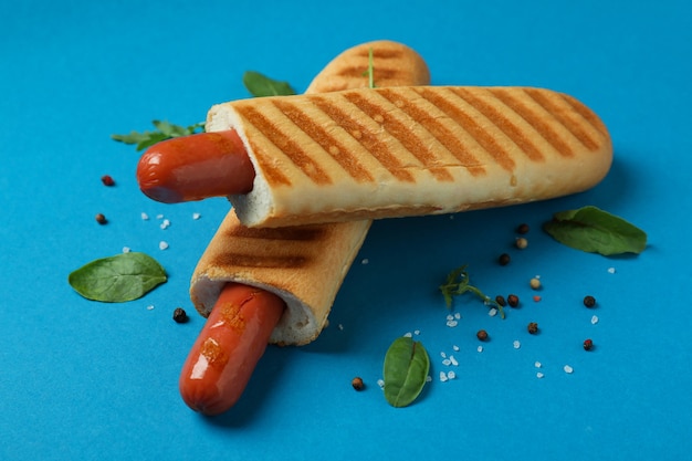 Konzept des leckeren Essens mit französischem Hot Dog