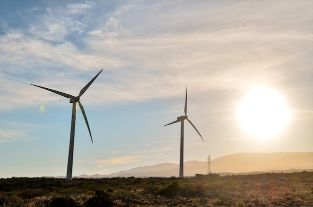 Konzept für erneuerbare Energien Windmil Farm bei Sonnenuntergang