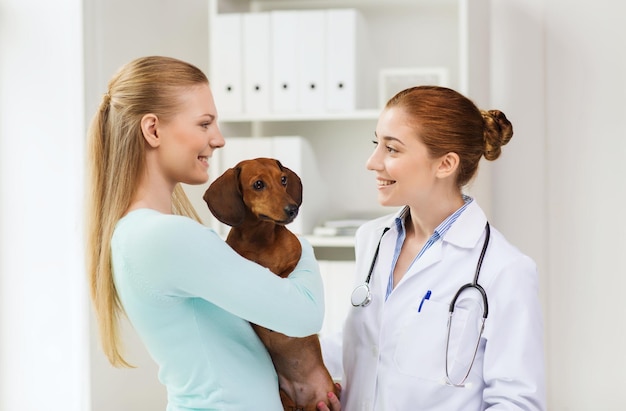 Konzept für Medizin, Tierpflege und Menschen - glückliche Frau mit Dackelhund und Tierarzt, der in der Tierklinik spricht