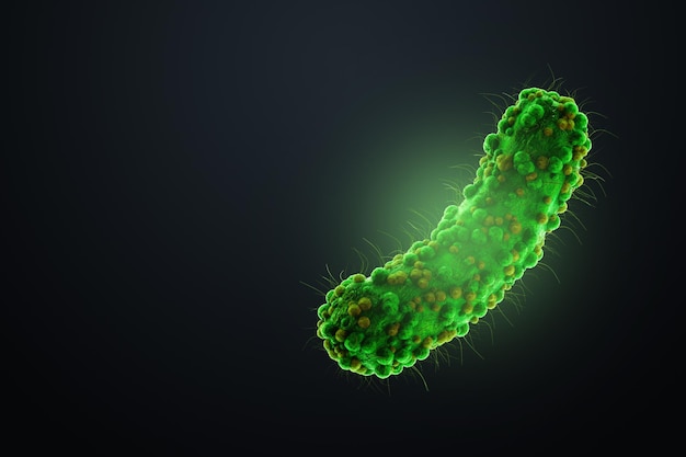 Konzept Infektionserreger Bakterien Bazillen E coli Teil des Darmmikrobioms Vergrößertes Bild unter dem Mikroskop 3D-Rendering 3D-Darstellung