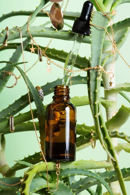 Konzept ist Naturkosmetik. Serum mit Aloe-Extrakt. Pflanze mit Goldschmuck und Serum