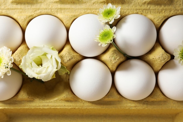 Konzept von Frühlingseiern mit Draufsicht der Blumen