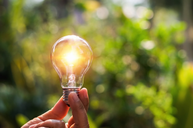 Konzeptenergieenergie von Solar in der Natur. Hand, die Glühlampe mit Sonnenuntergang hält