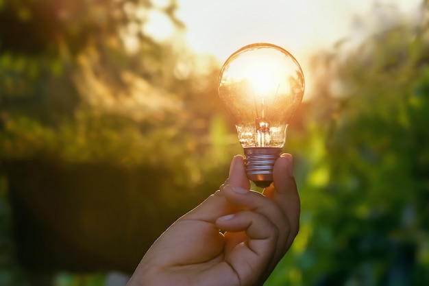 Konzeptenergieenergie von Solar in der Natur