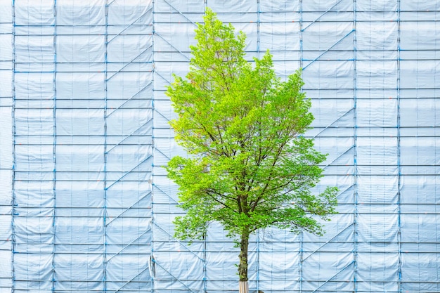 Konzepthintergrund Under Construction Wachstum Entwicklung Veränderung und Verbesserung Erneuerung und Erhaltung Der Baum ist ein Symbol für Wachstum und Entwicklung