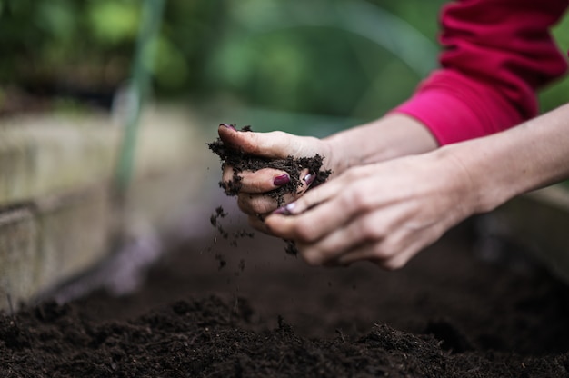 Konzeptionelles Bild der Gartenarbeit