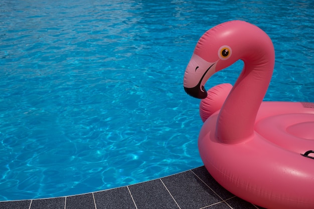 Kopf des Flamingopools schwimmt im blauen Wasserhintergrund des Swimmingpools