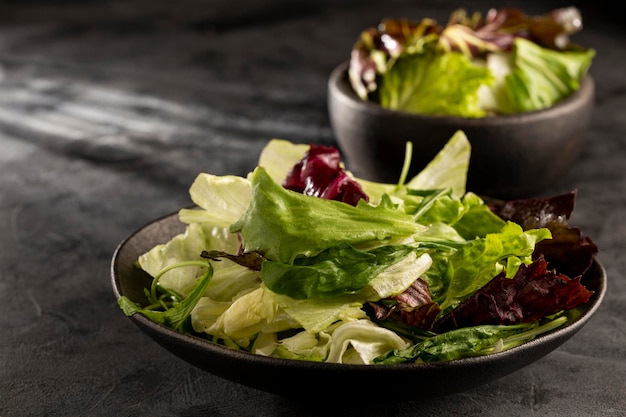 Kopfsalat-Salat-Mischung in der Schüssel