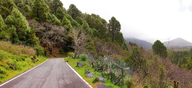 Kopieren Sie Platz mit einem malerischen Bergpass entlang einer Klippe auf La Palma Kanarische Inseln Spanien an einem bewölkten und nebligen kalten Morgen Ruhige, ruhige und üppige Landschaft, die Sie während eines Roadtrips erkunden können