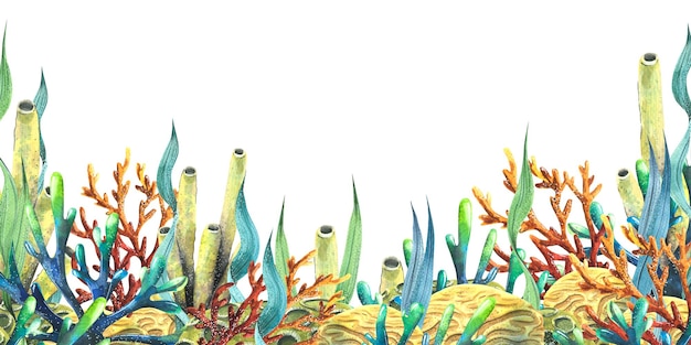 Korallen, Meeresschwämme und Algen in einer horizontalen Aquarellillustration für die Registrierung von Zertifikaten, Einladungen, Postern, Postkarten, Broschüren, Souvenirdrucken