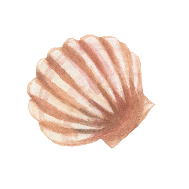 Korallen Muscheln nahtlose Muster Strand Aquarell Illustration Hand dra