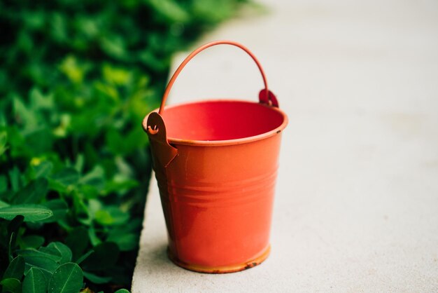 Korallenbewässerungseimer für Pflanzen im Garten