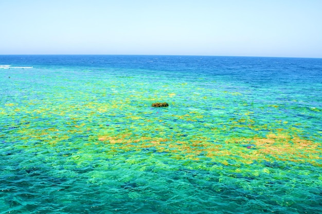 Korallenriff mitten im Meer