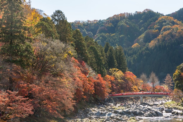 Korankei Waldherbstpark Nagoya