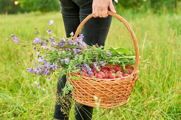 Korb mit Erdbeeren und Strauß Wildblumen auf der Wiese in der Hand