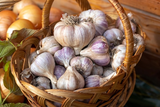 Korb mit Knoblauch