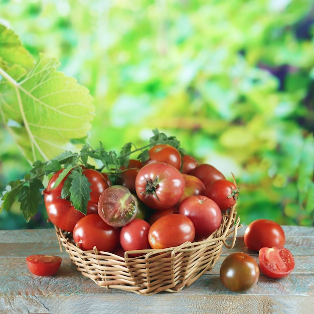 Korb mit reifen Tomaten, auf dem Tisch, vor dem Hintergrund einer ländlichen Landschaft