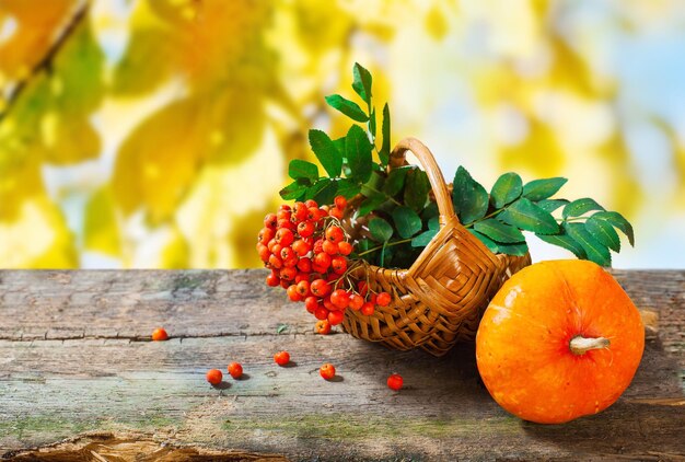 Foto korb mit rowan-beeren und kürbis auf dem tisch vintage-natur