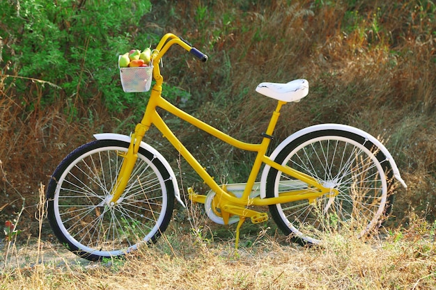 Korb mit saftigen Früchten auf dem Fahrrad im Freien