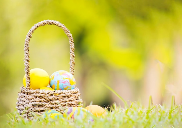 Korb mit schönen Eiern auf dem Gras zu Ostern