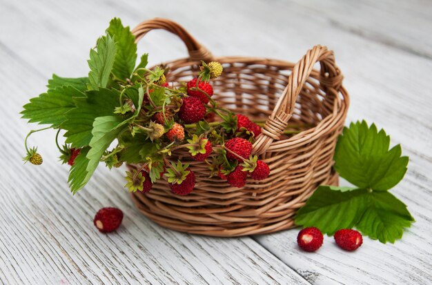 Korb mit Walderdbeeren