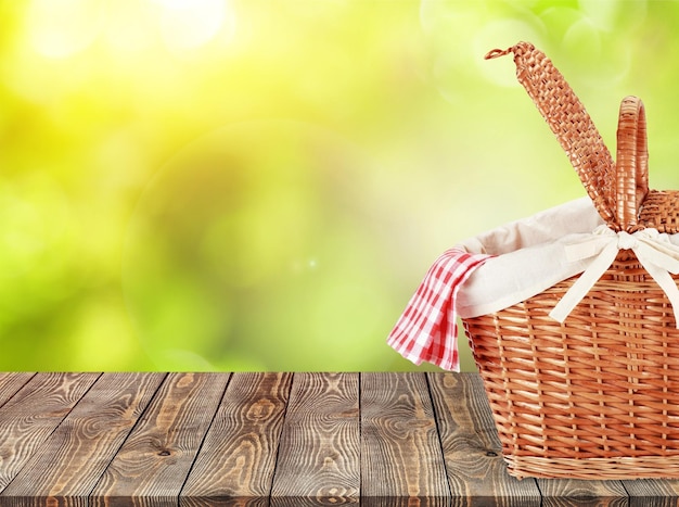 Korb-Picknick-Freizeittisch grün rot weiß