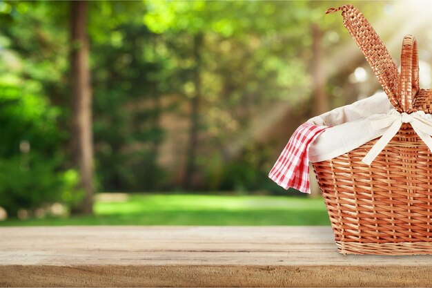 Korb Picknick-Freizeittisch grün rot weiß