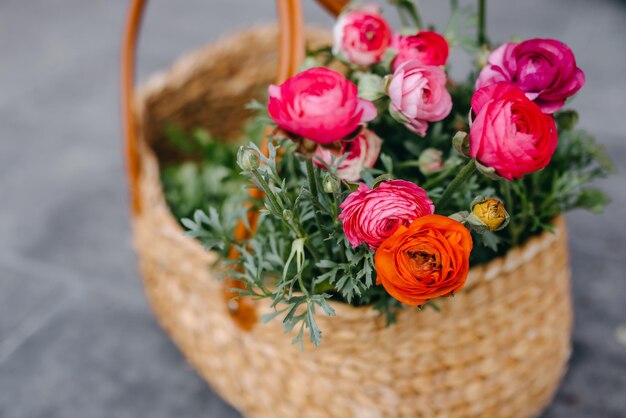 Korb voller rosa Ranunkelblüten