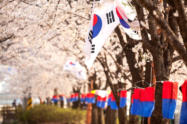 Foto koreanische flagge im park