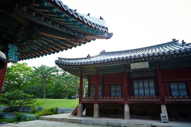 Foto koreanische traditionelle palastreise in korea