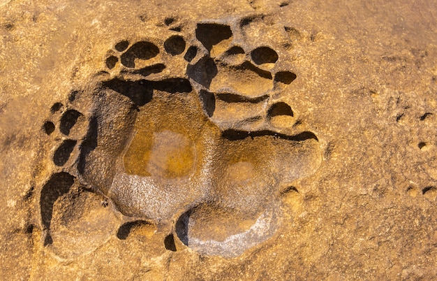 Korrosion von Felsen aus Meerwasser