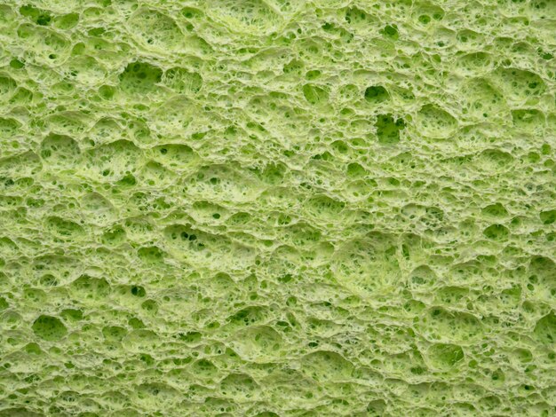 Kosmetikschwamm Textur Hintergrund grüne Farbe Reinigungsschwamm Material Detail Nahaufnahme Makroansicht d