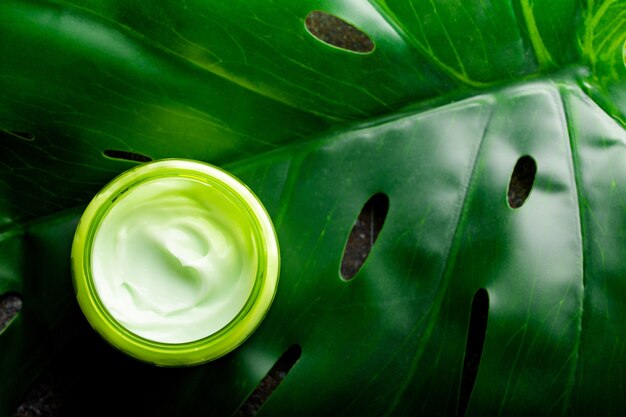 Kosmetische Creme in einem Behälter auf einer grünen Monstera-Tropenblatt-Draufsicht, Naturkosmetik und Bio-Hautpflegeproduktkonzept. Creme für Gesichts- und Körperpflege, flacher Hintergrund mit Kopienraum