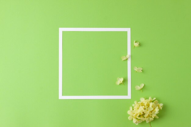 Kosmetischer Hintergrund mit Blumen und weißem Rahmen auf grünem Flachlagekopierraum