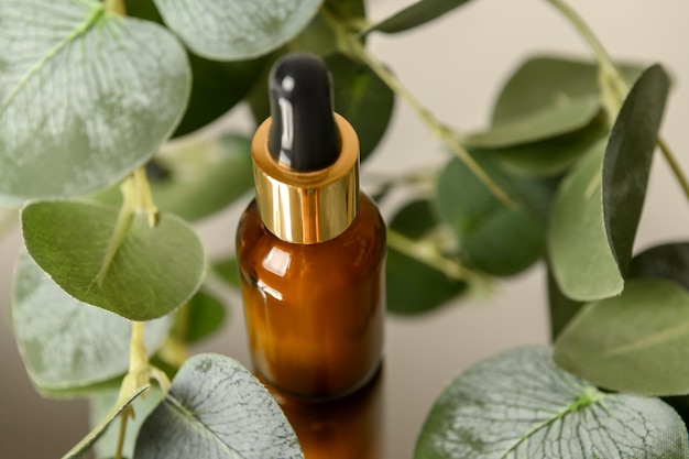Kosmetisches Öl auf einem Spiegel in Eukalyptusblättern Hautpflege