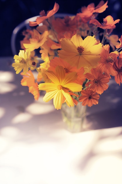 Kosmosblumen im Garten. Weichzeichner und Farbe getönt.