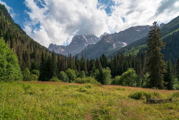 Kosygins glade Buulu Tala in der Gonachkhir-Schlucht an einem Sommertag Dombai KarachayCherkessia Russland