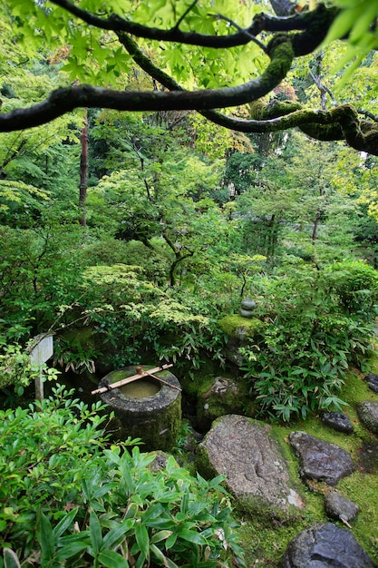 Koto no templo zen famoso por seu jardim