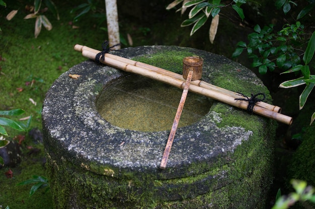 Koto en el templo zen famoso por su jardín