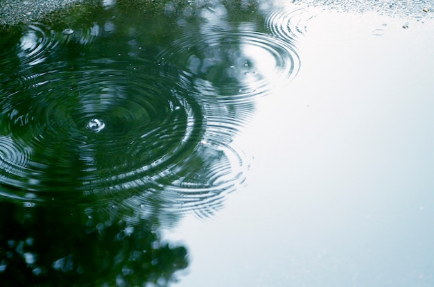 Kräuseleffektwirkung des Regens lässt Reflexion im Wasser fallen. Unterschiedliche konzentrische Wasserkreise