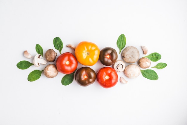 Kräuter und Pilze in der Nähe von Tomaten